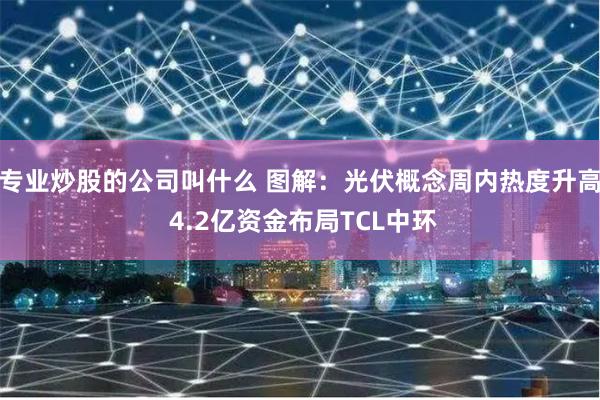 专业炒股的公司叫什么 图解：光伏概念周内热度升高 4.2亿资金布局TCL中环