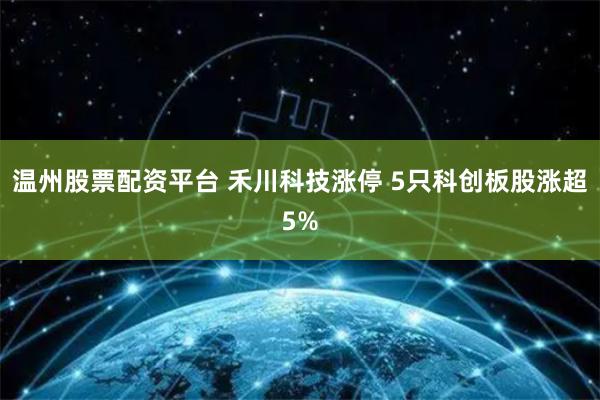 温州股票配资平台 禾川科技涨停 5只科创板股涨超5%