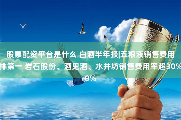 股票配资平台是什么 白酒半年报|五粮液销售费用排第一 岩石股份、酒鬼酒、水井坊销售费用率超30%