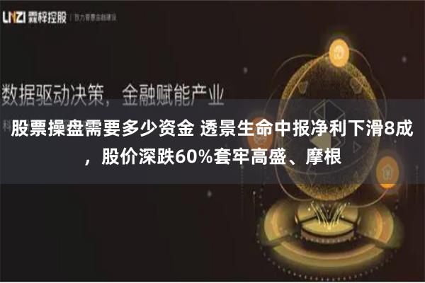 股票操盘需要多少资金 透景生命中报净利下滑8成，股价深跌60%套牢高盛、摩根