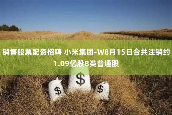 销售股票配资招聘 小米集团-W8月15日合共注销约1.09亿股B类普通股