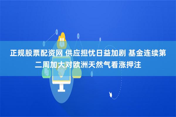 正规股票配资网 供应担忧日益加剧 基金连续第二周加大对欧洲天然气看涨押注